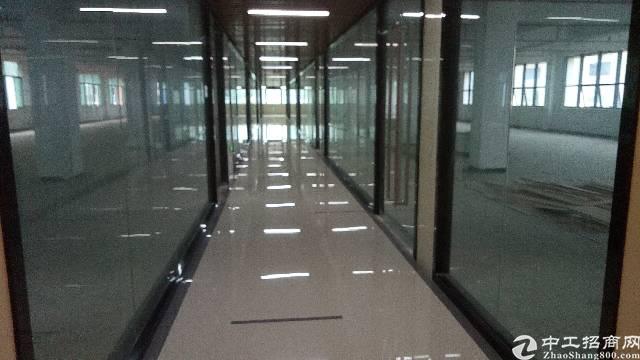 坪地新出精装修写字楼