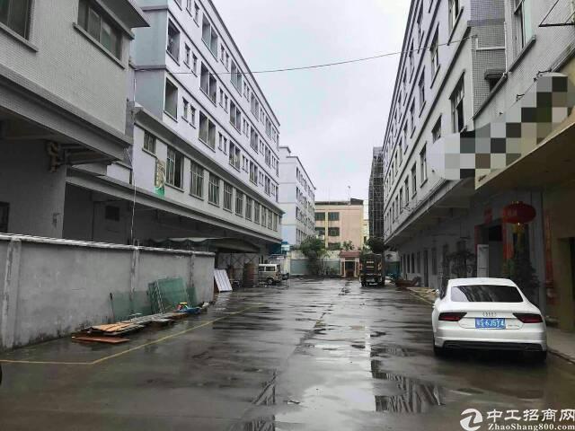 松山湖厂房出租 松山湖厂房出租