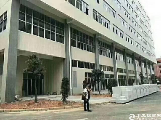 公明李松蓢新出楼上650平的精装修厂房仓库