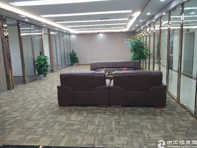 福田中心区全新精装