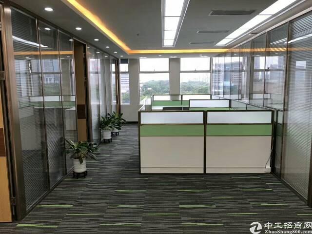 福田中心区~精装~双面采光!