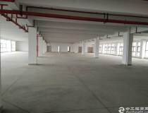 惠州三栋新出红本标准厂房