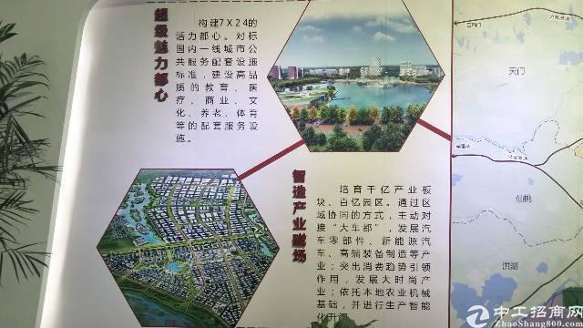 广东省江门市江海国有指标土地出售4