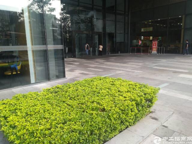 深圳宝安中心区写字楼招租