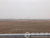 武汉新洲区100亩国有工业土地整体出售
