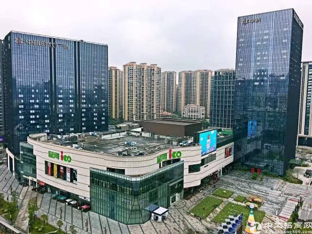 龙华中心地段5A级写字楼出租(大小可分)