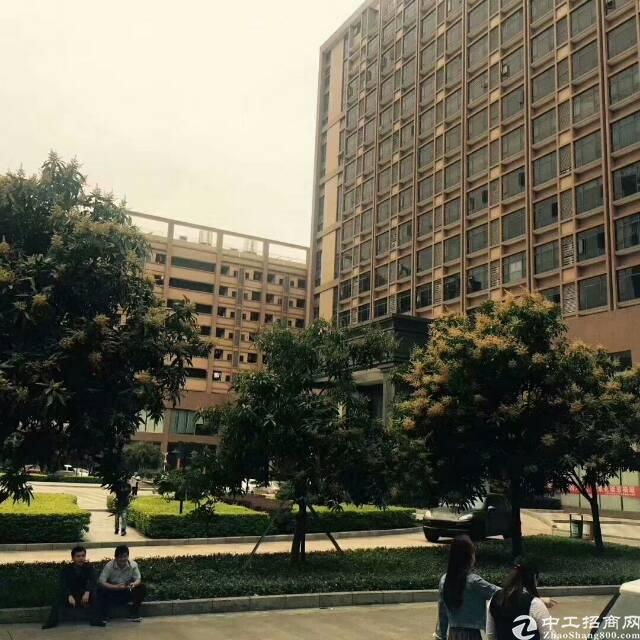 (出租)光明新区精装修写字楼带红本可注册公司