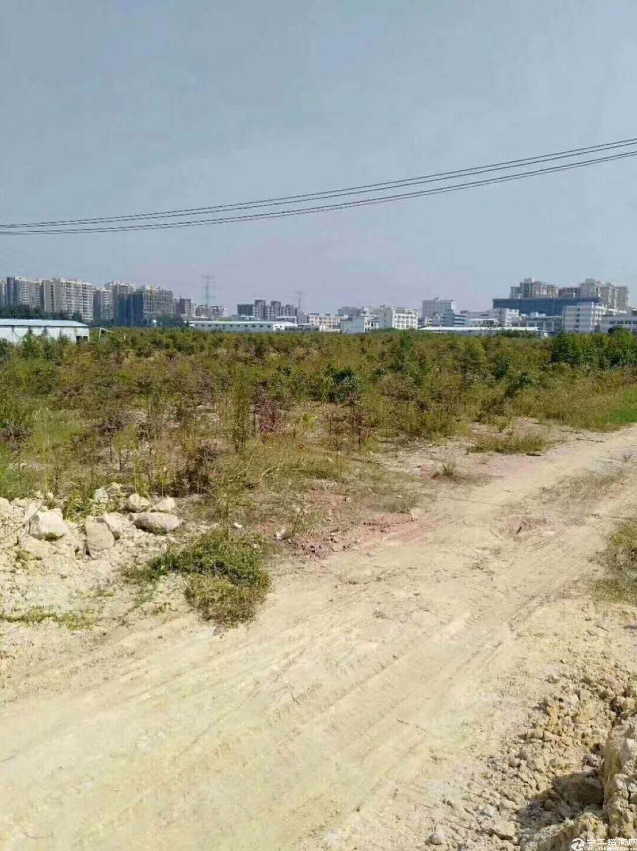 广东省湛江市政府优质土地国有产权100亩