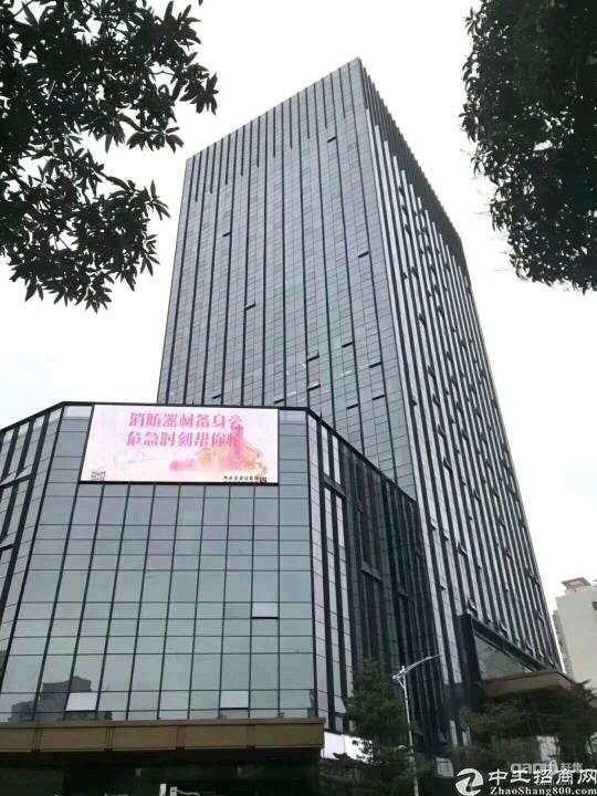 龙岗高大上写字楼大小分租