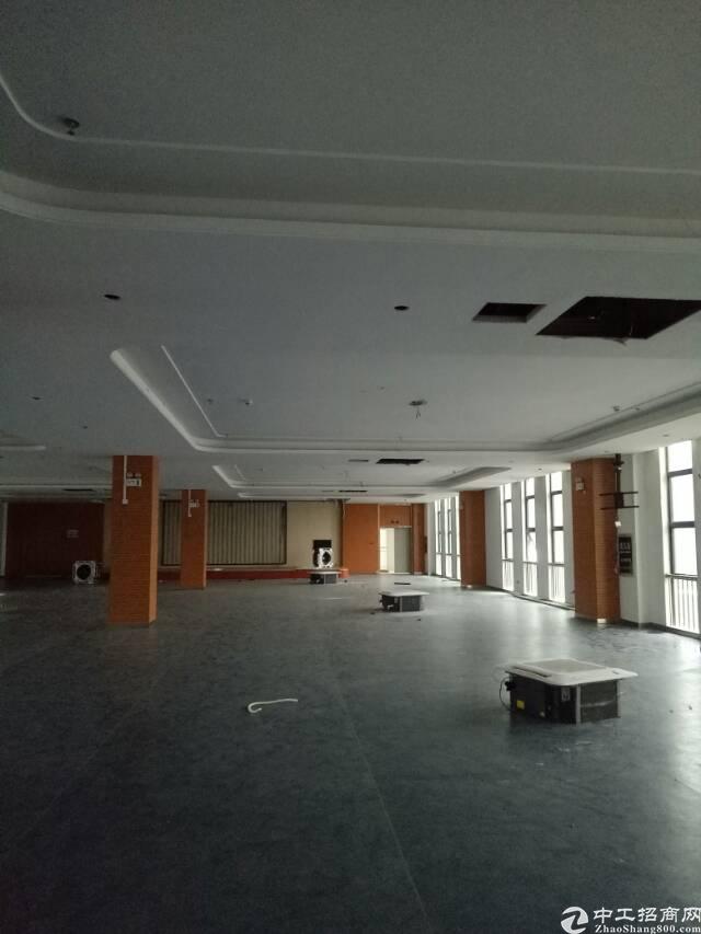 布吉中心地段写字楼招租