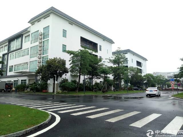 石岩塘头可办公生产写字楼30元出租