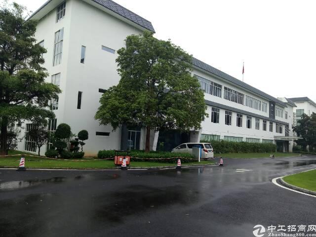 石岩塘头可办公生产写字楼30元出租