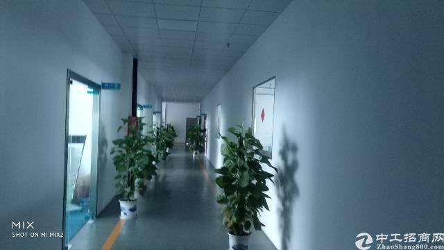 宝龙工业区办公室1100平出租