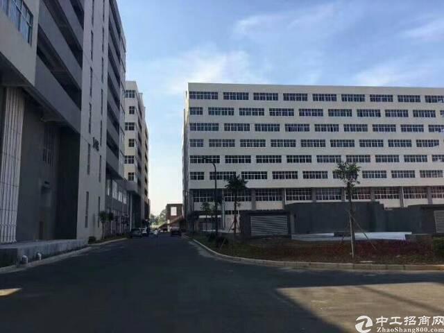 深圳龙华新区精装修写字楼573㎡招租