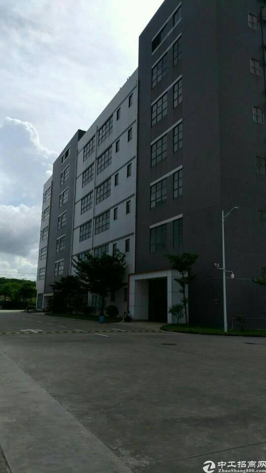 龙岗区 爱联地铁附近 写字楼出租