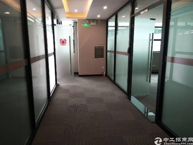 西丽大学城1楼精装办公室出租