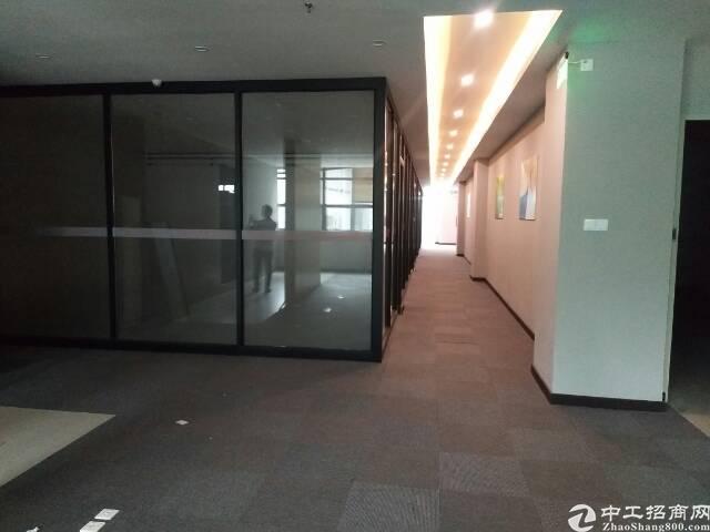 西丽大学城1楼精装办公室出租