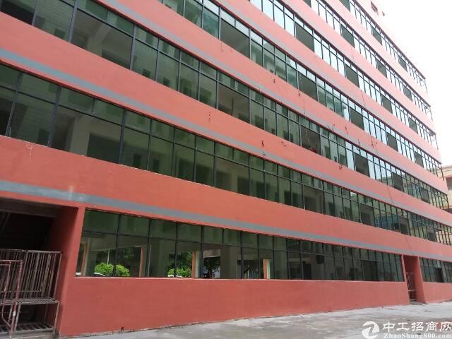 石岩塘头可办公生产写字楼30元出租