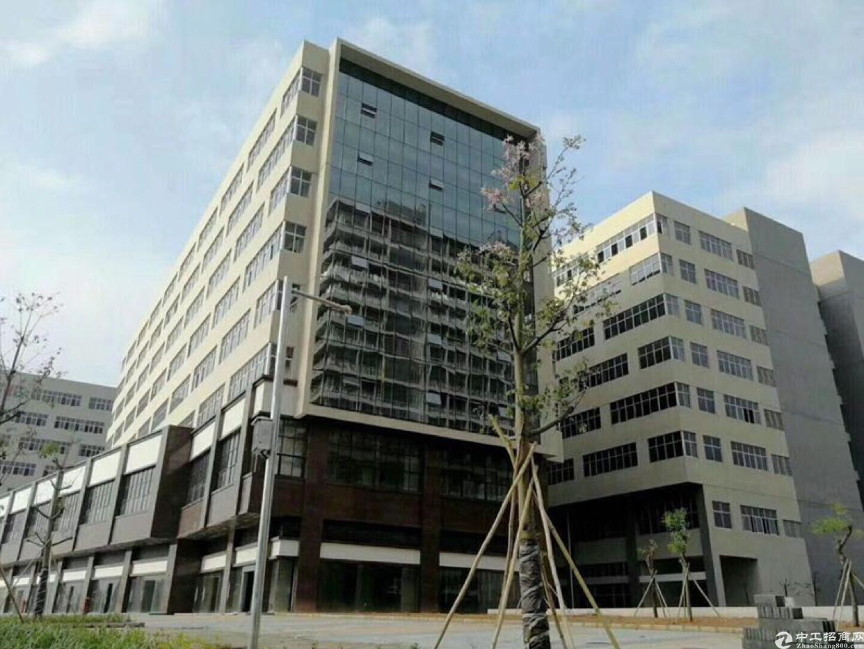 坪地600平写字楼