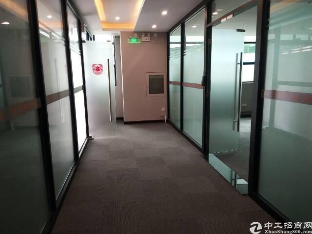 西丽大学城1楼精装办公室出租