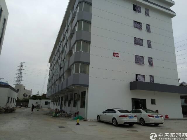 石岩塘头可办公生产写字楼30元出租