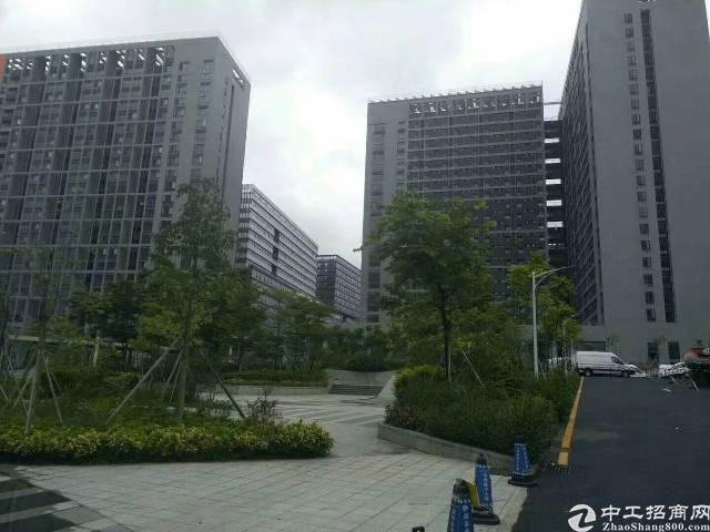 石岩新出35万平方甲级写字楼招租