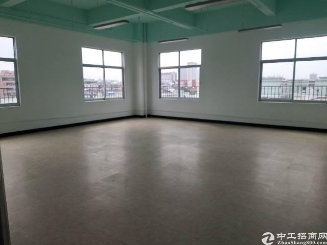 出租龙华大浪原房东写字楼