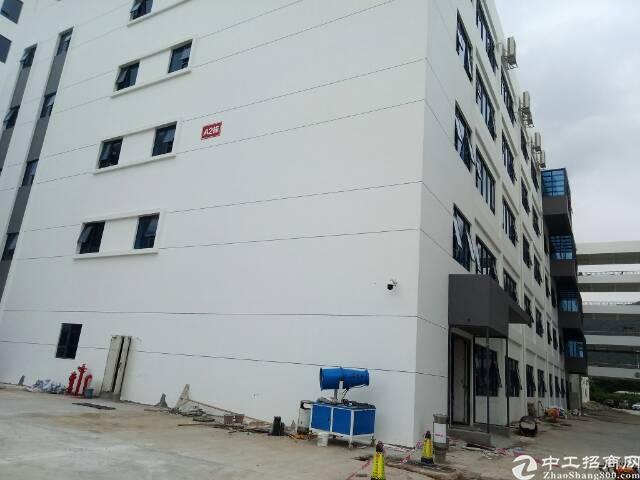石岩塘头可办公生产写字楼30元出租