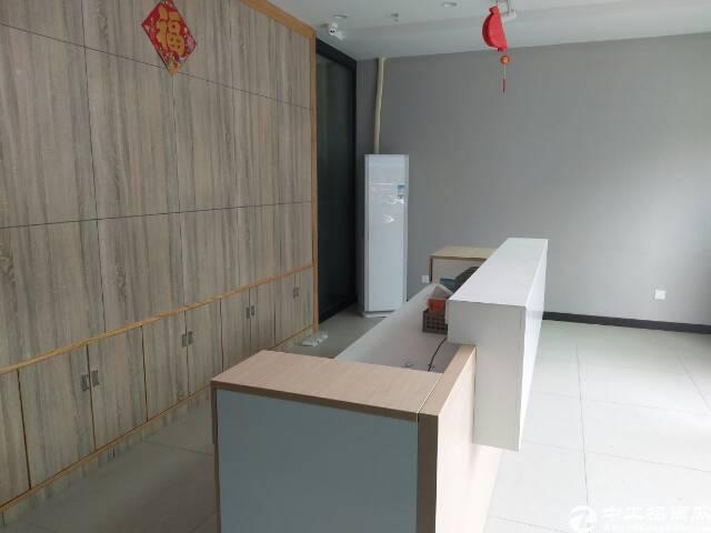 西丽大学城1楼精装办公室出租