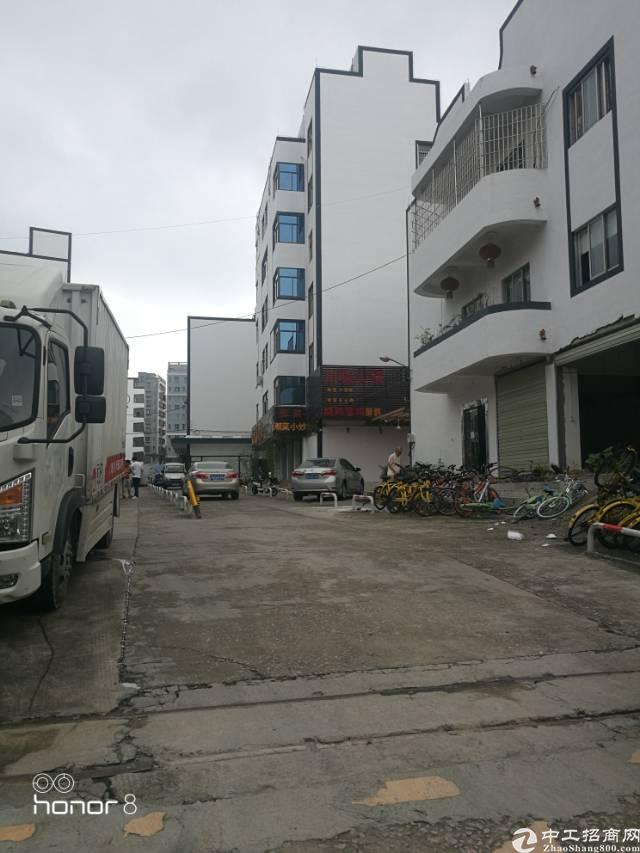 梅林关周边商业楼出租