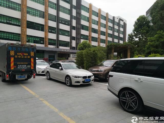西丽大学城1楼精装办公室出租
