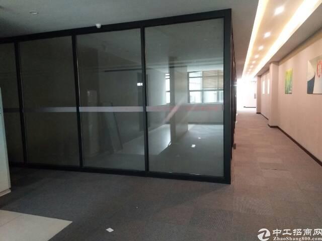 西丽大学城1楼精装办公室出租
