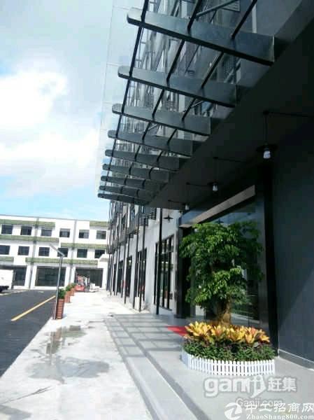横岗101文化创意园出租适合教育培训
