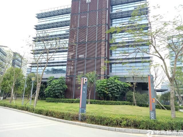 石岩塘头全新600平米写字楼30元起租