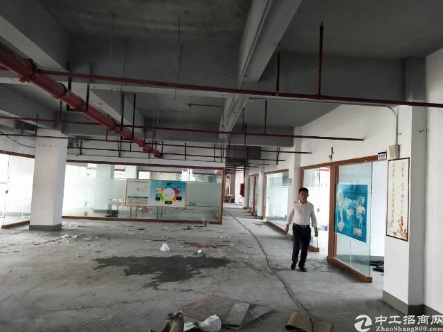 西丽留仙大道旁实用率超高写字楼出租