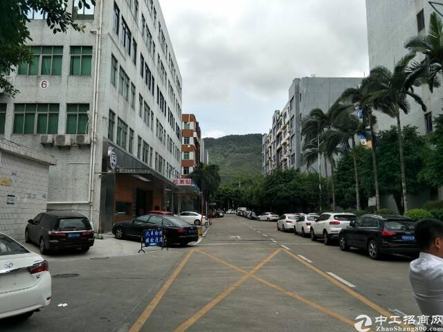 西丽留仙大道旁实用率超高写字楼出租