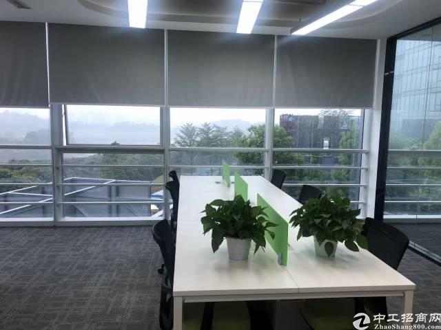 龙华清湖1000平带精装修写字楼视野开阔