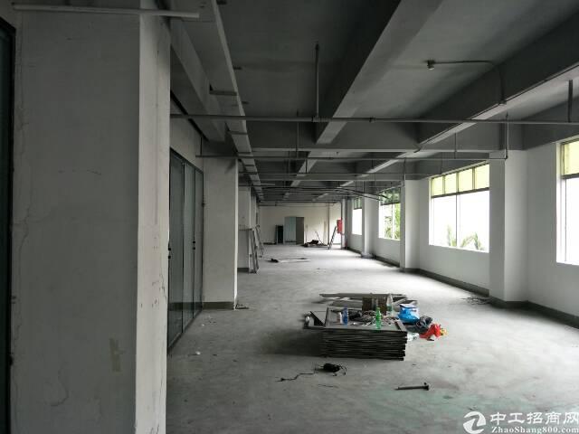 西丽留仙大道旁实用率超高写字楼出租