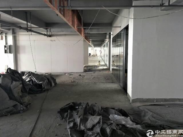 西丽留仙大道旁实用率超高写字楼出租