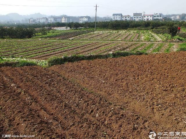 广东惠州国有工业土地300亩急出售
