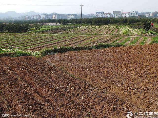 广东惠州国有工业土地300亩急出售3