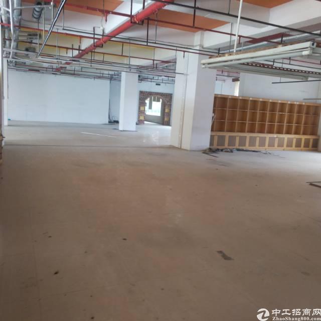 福永凤凰靠107国道2000平精装写字楼出租