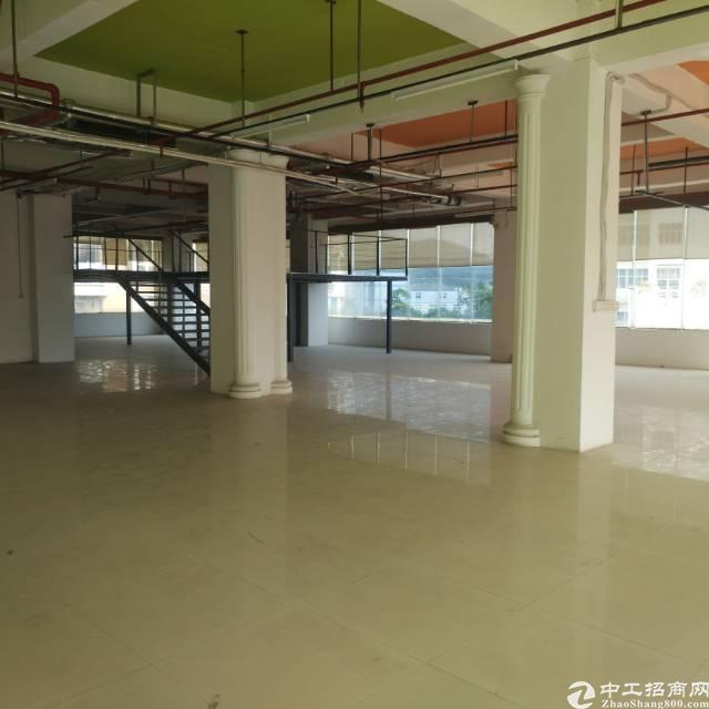 福永凤凰靠107国道2000平精装写字楼出租