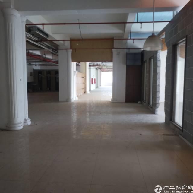 福永凤凰靠107国道2000平精装写字楼出租