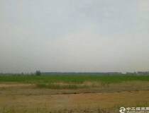 惠州电子产业信息基地红本地皮出售90亩