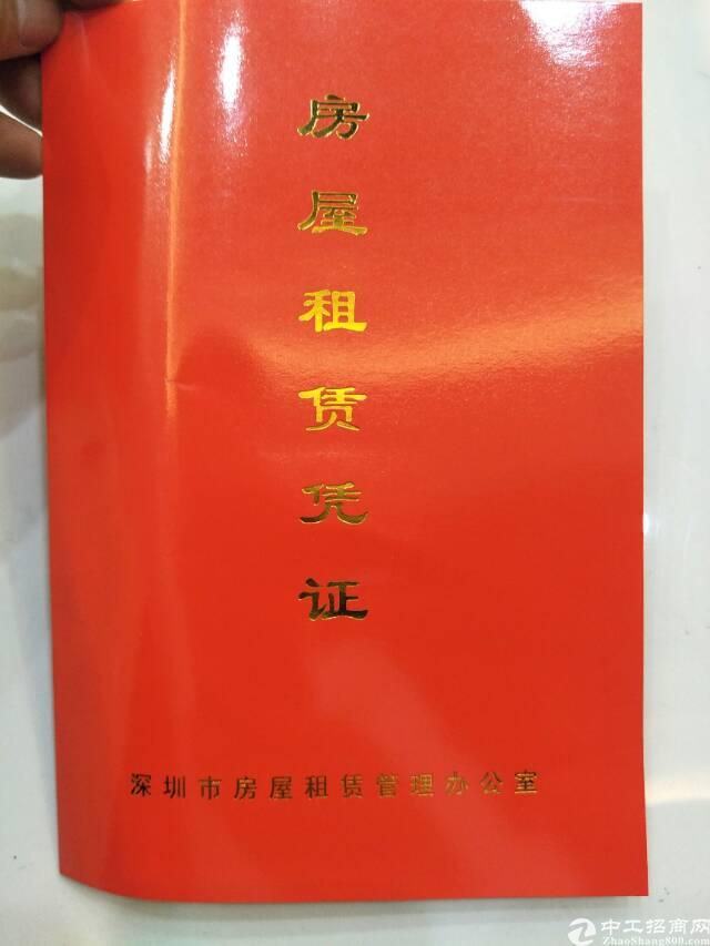 桥头重庆路5号精装写字招租