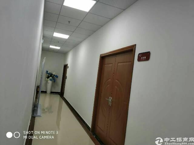 龙华文化广场甲级写字楼精装!