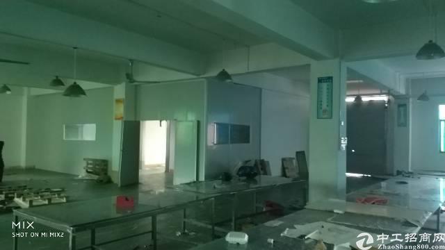 龙岗龙东办公室出租