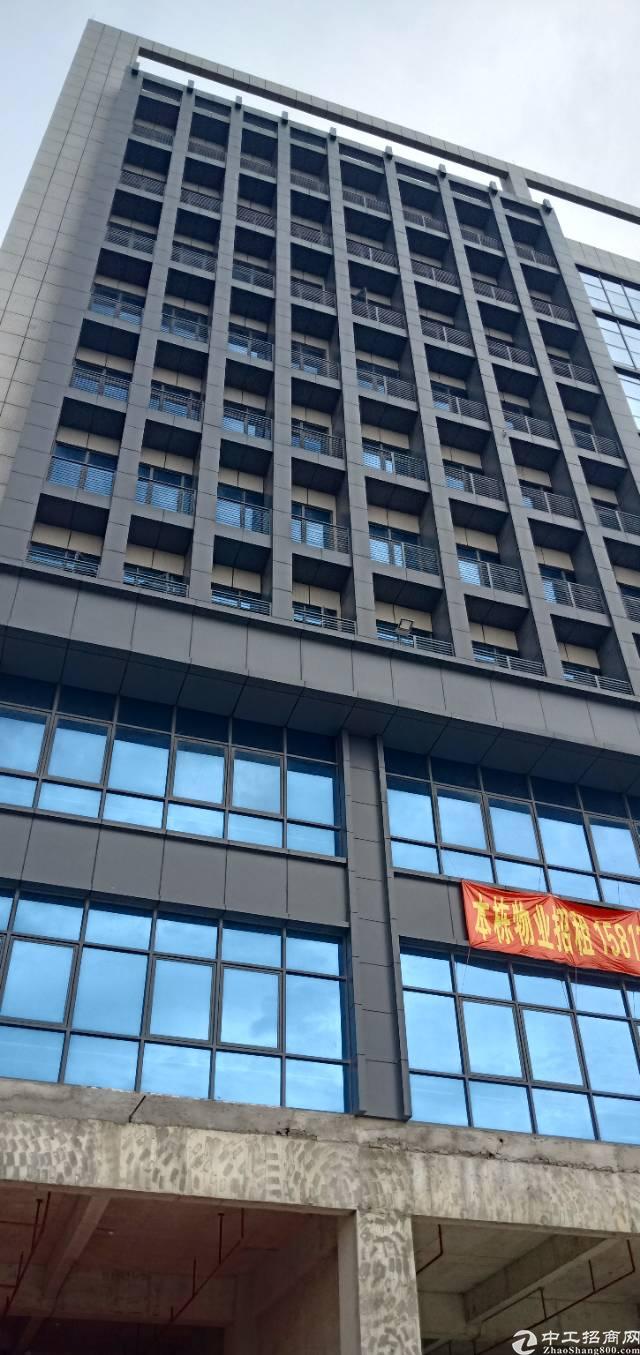 常平镇中心区全新写字楼对外出租