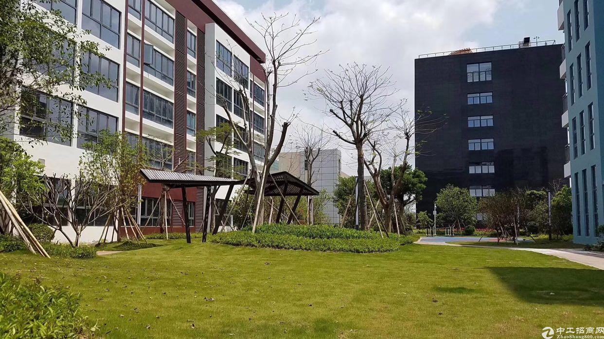 龙岗12万平产业综合体